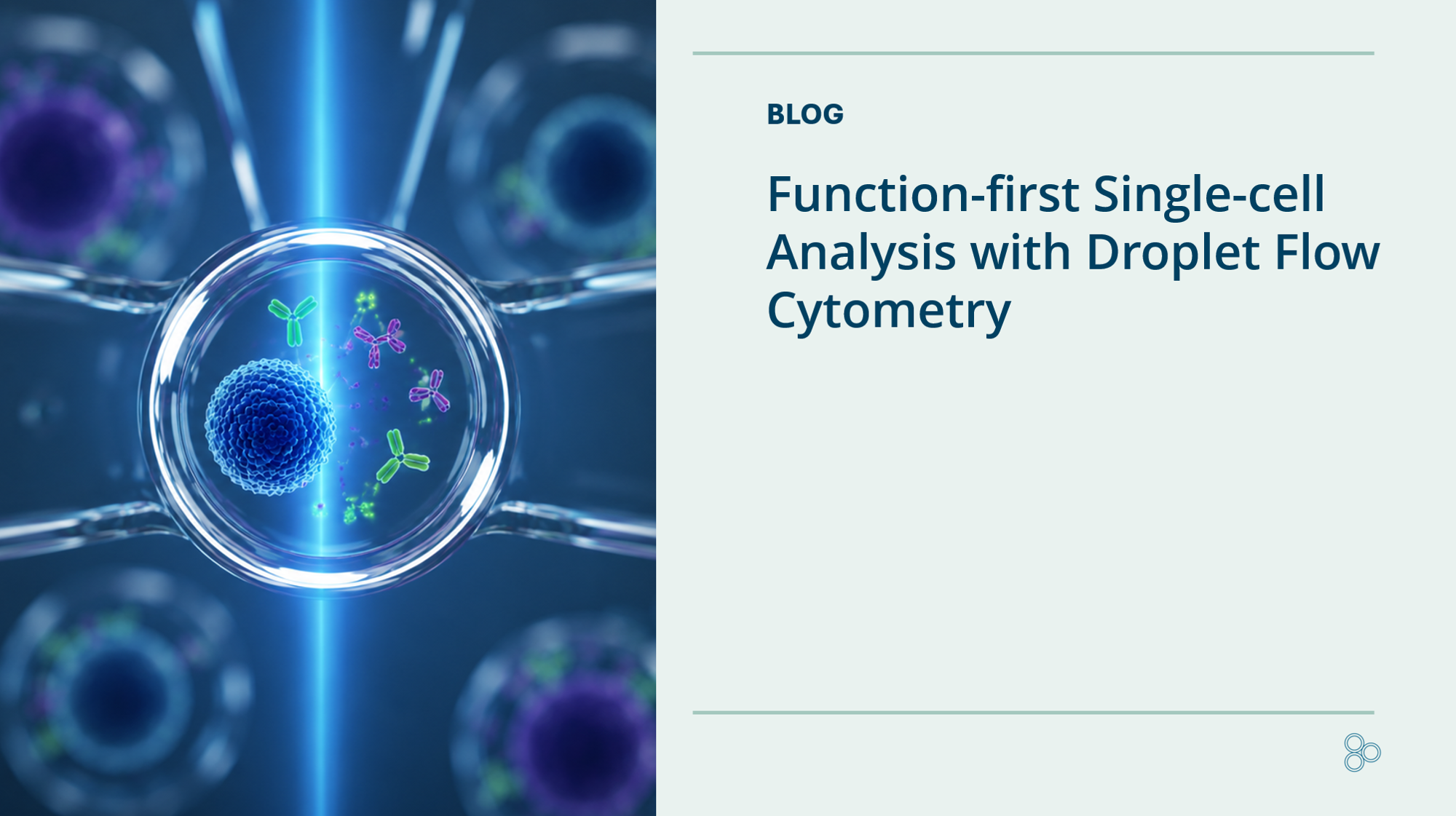 Function first